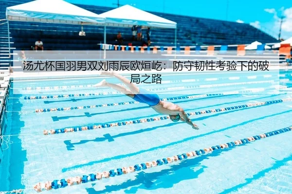 tang-you-bei-guo-yu-nan-shuang-liu-yu-chen-ou-xuan-yi-fang-shou-ren-xing-kao-yan-xia-de-po-ju-zhi-lu-2-317.jpg